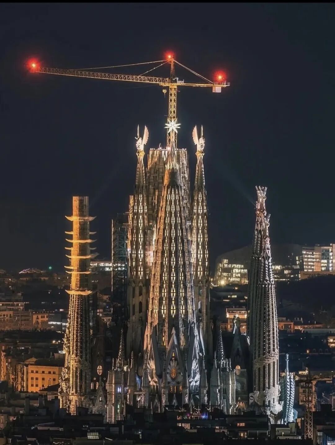 冬奥会世界纪录_值得好好活着的理由 好消息分享平台 冬奥会中国代表团